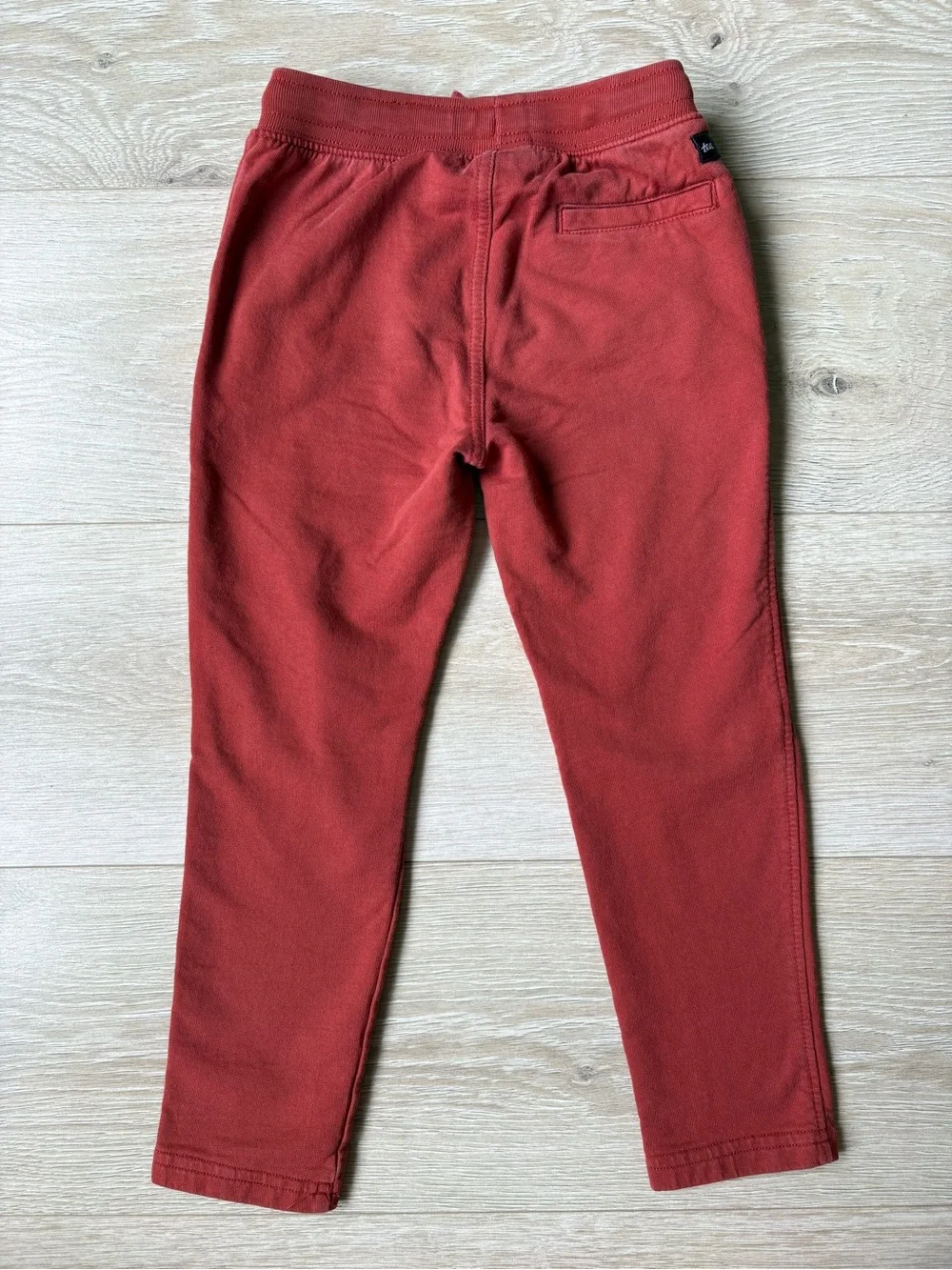 Tea Collection Jacket and Jogger Set Size 5
